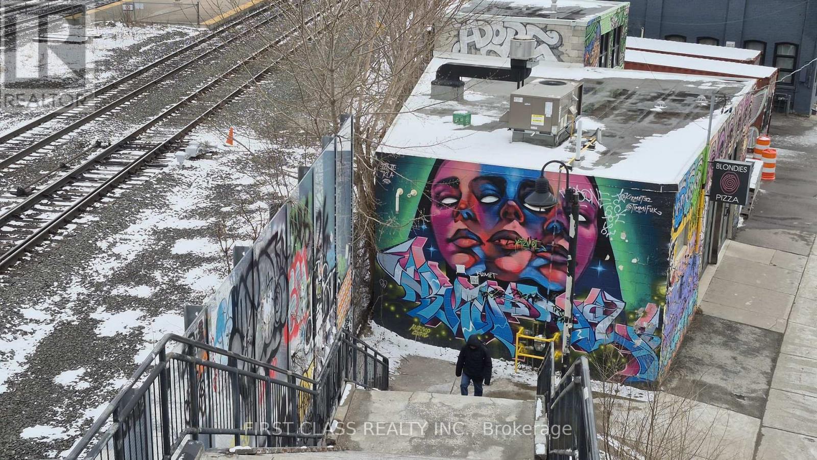 356 Wallace Avenue, Toronto, Ontario  M6P 3P2 - Photo 36 - W13028384