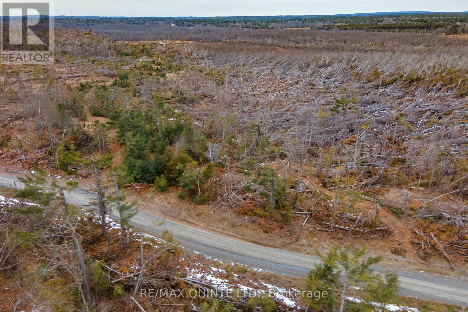 0 Potter Settlement Road, Tweed, Ontario  K0K 3J0 - Photo 8 - X12793802