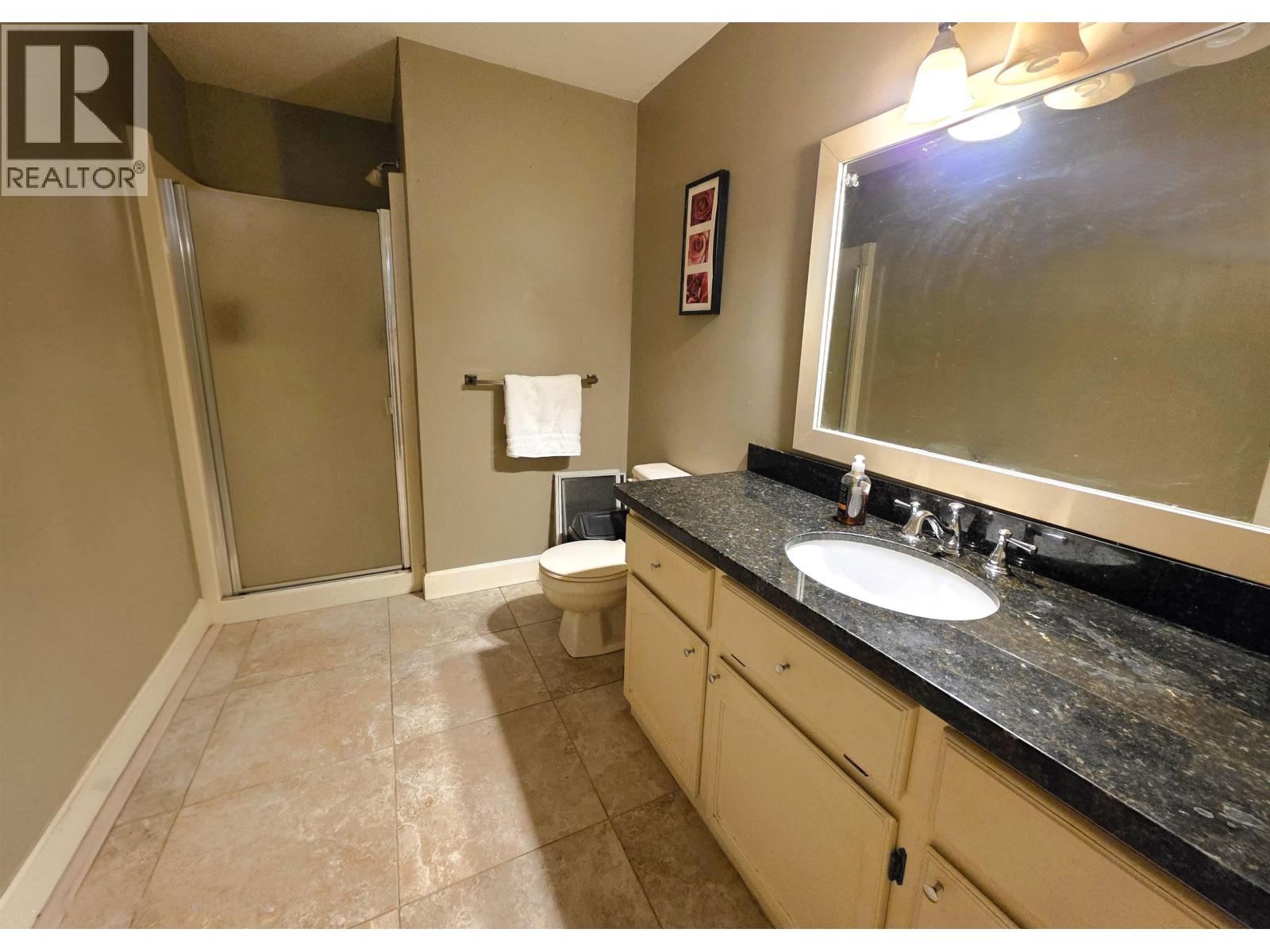 12033 206b Street, Maple Ridge, British Columbia  V2X 9T8 - Photo 16 - R3114428