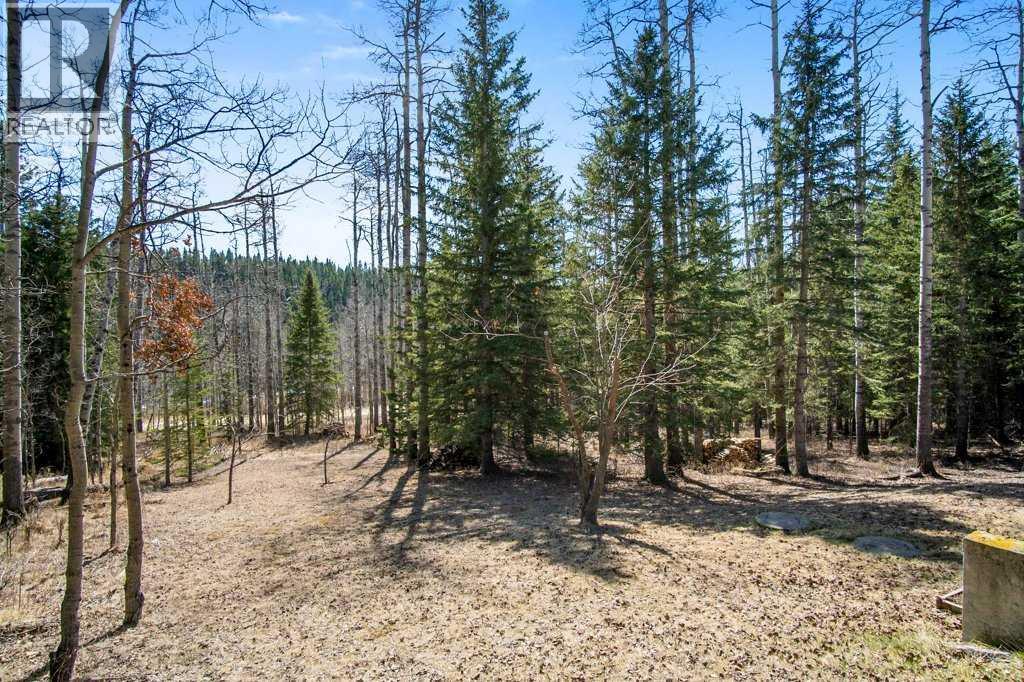 51, 29066 Range Road 52, Rural Mountain View County, Alberta  T0M 2E0 - Photo 40 - A2302616