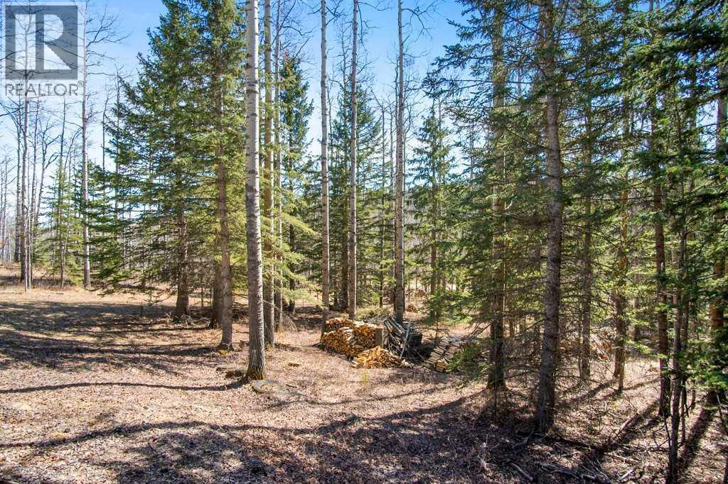 51, 29066 Range Road 52, Rural Mountain View County, Alberta  T0M 2E0 - Photo 41 - A2302616