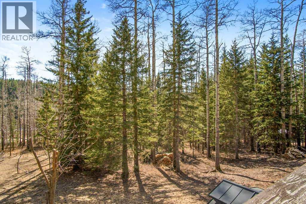 51, 29066 Range Road 52, Rural Mountain View County, Alberta  T0M 2E0 - Photo 42 - A2302616