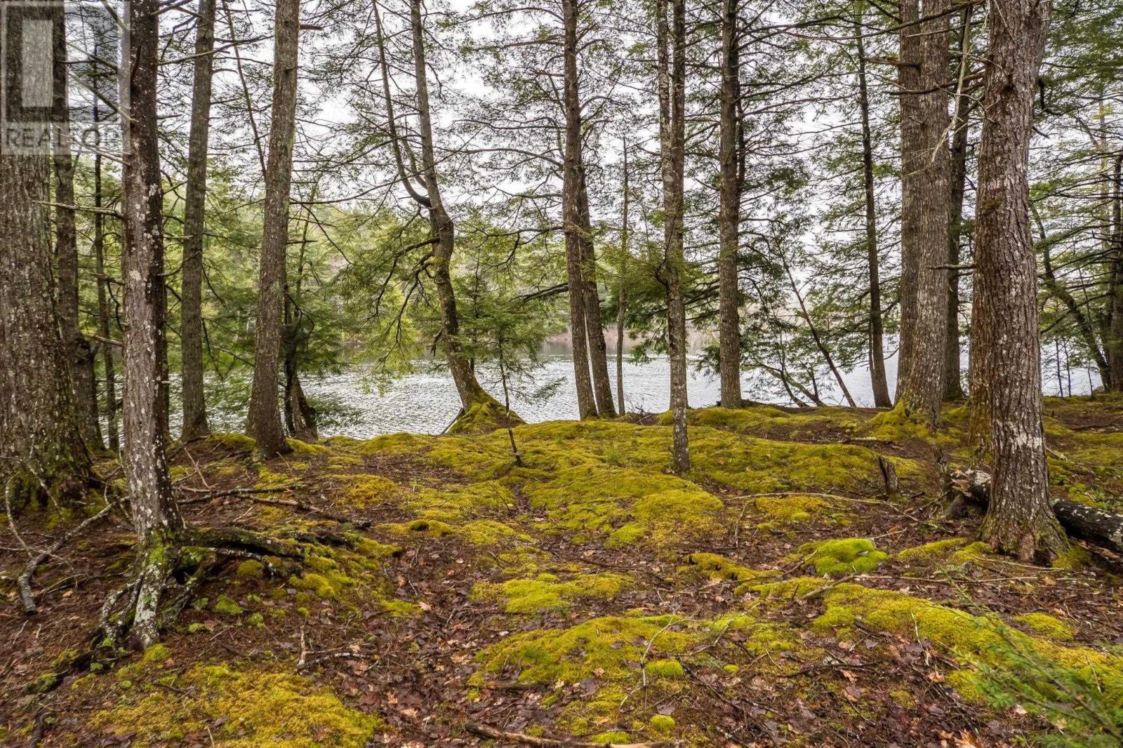 87 Edith's Point Road, South Brookfield, Nova Scotia  B0T 1K0 - Photo 39 - 202608267