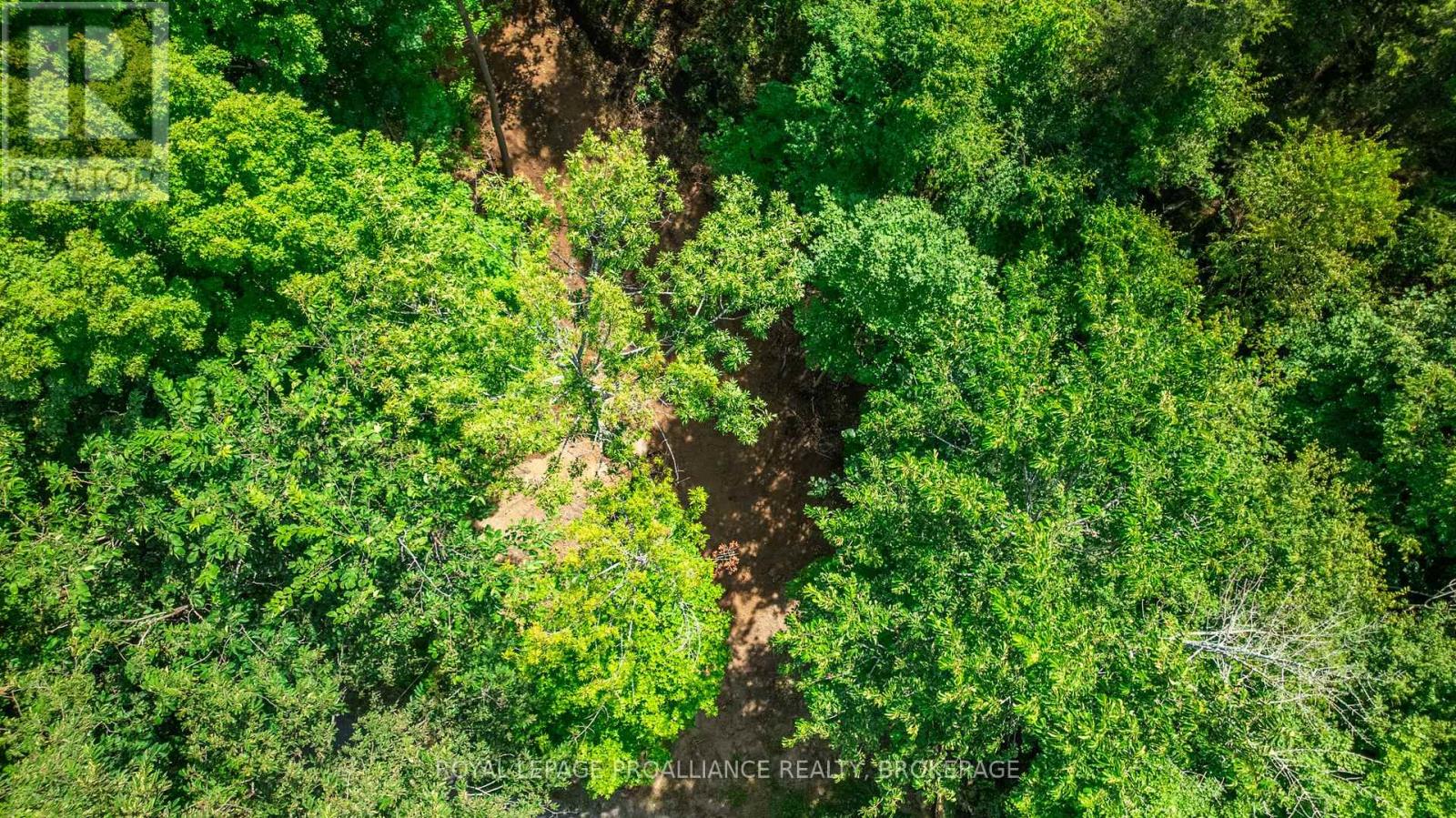 Lot 2 Trillium Lane, Frontenac, Ontario  K0H 2N0 - Photo 19 - X13032014