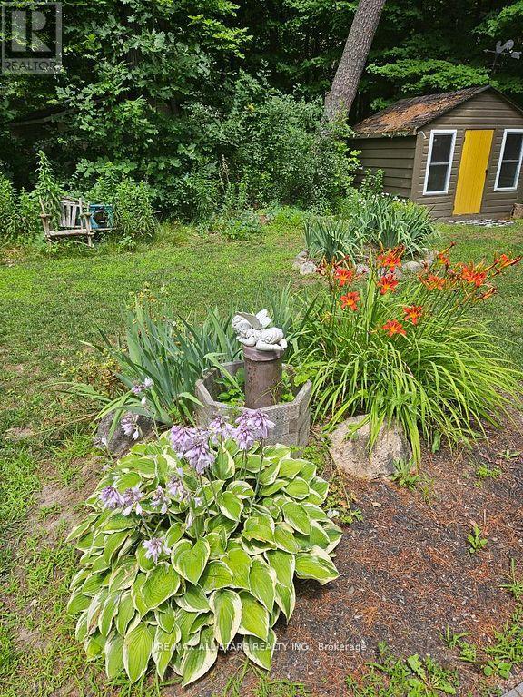 29 Stinsons Bay Road, Kawartha Lakes, Ontario  K0M 1N0 - Photo 38 - X13031768