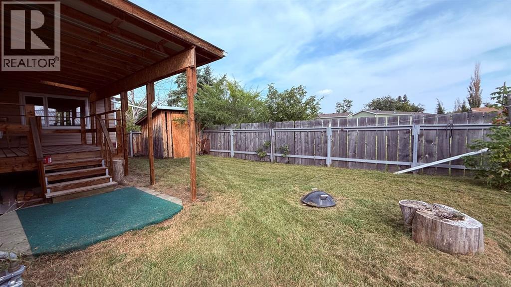 201 3 Avenue SE, Youngstown, Alberta  T0J 3P0 - Photo 25 - A2261865