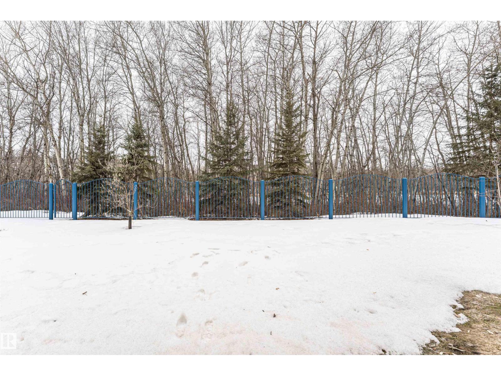 #101 45 Gervais Rd Nw, St. Albert, Alberta  T8N 6H7 - Photo 47 - E4481668