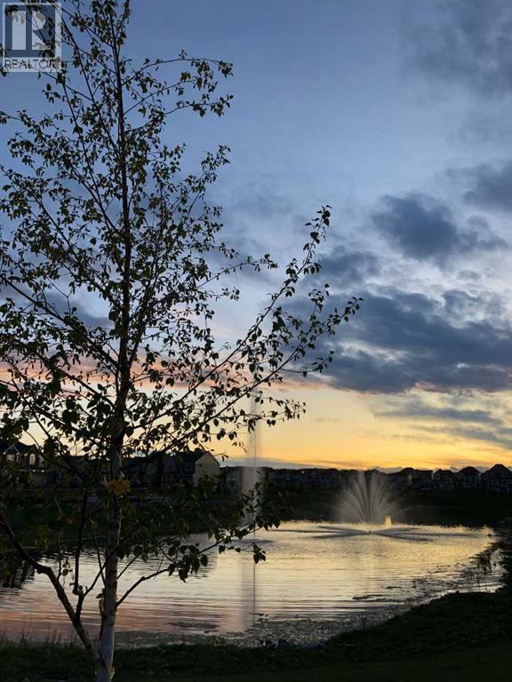 280 Yorkville Manor SW, Calgary, Alberta  T2X 4J6 - Photo 7 - A2302516