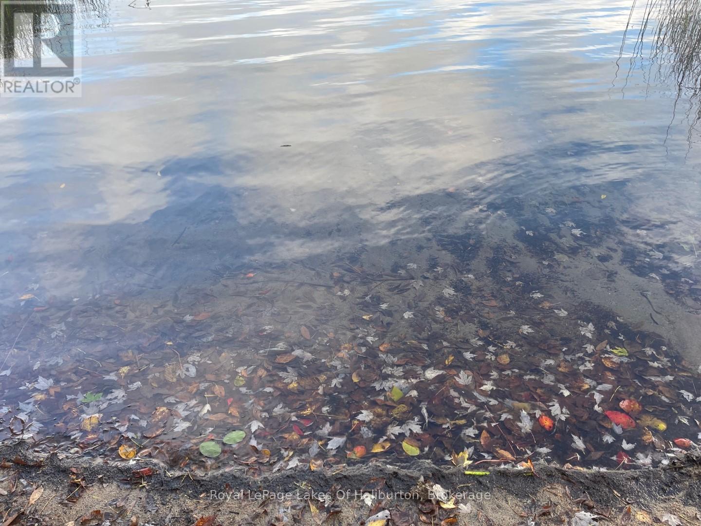 1096 Chelsea Lane, Algonquin Highlands, Ontario  K0M 1S0 - Photo 47 - X13031760