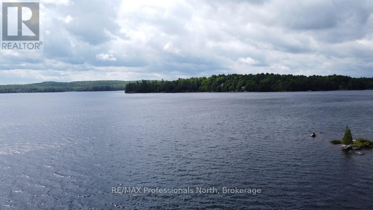 5997 Kennisis Lake Road, Dysart Et Al, Ontario  K0M 1S0 - Photo 47 - X13031830