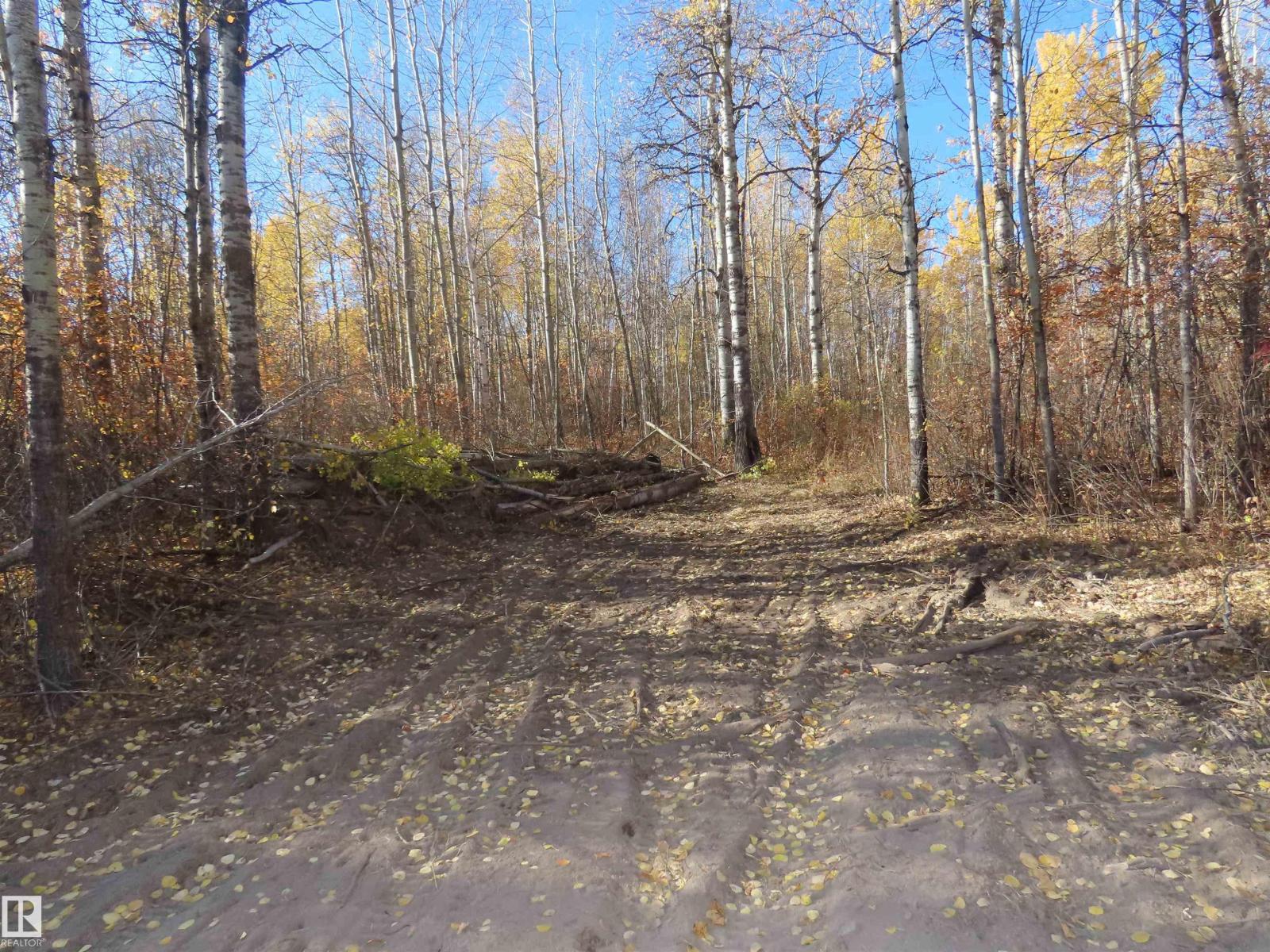 Rr 31 Museum Road, Rural Lac Ste. Anne County, Alberta  T0E 1V0 - Photo 6 - E4483553