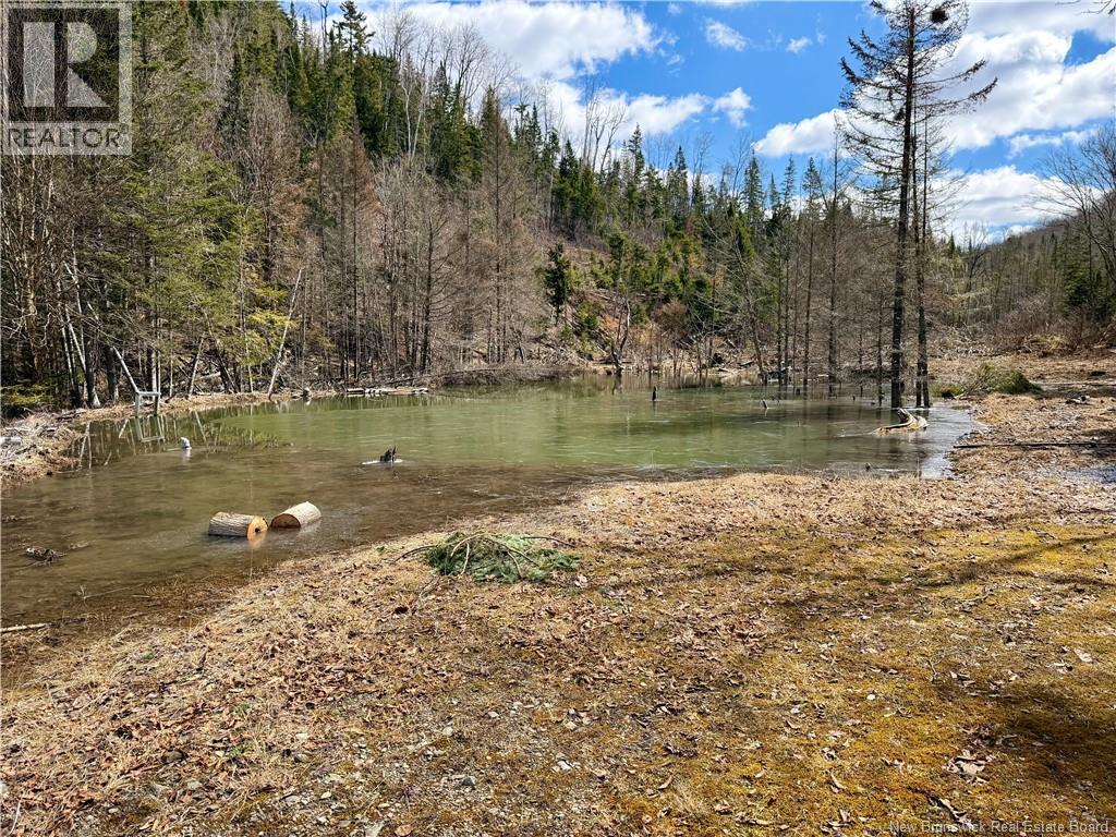 50 Hathaway Lane, Perth-Andover, New Brunswick  E7H 2G1 - Photo 4 - NB137681