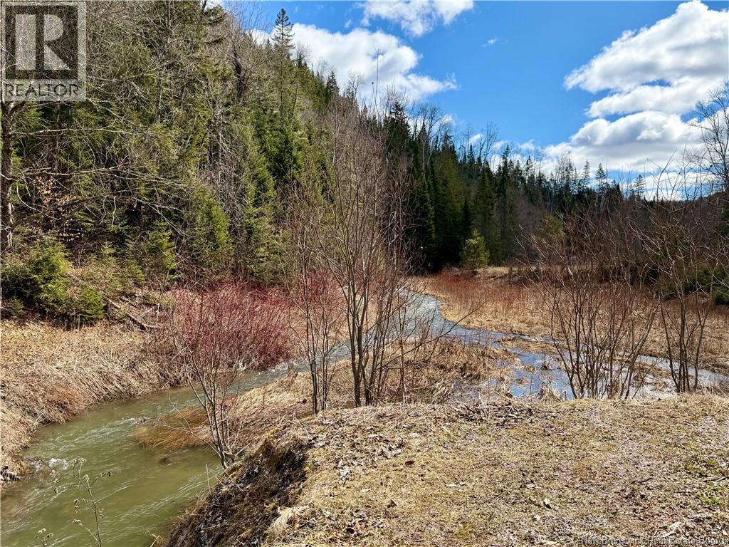 50 Hathaway Lane, Perth-Andover, New Brunswick  E7H 2G1 - Photo 5 - NB137681