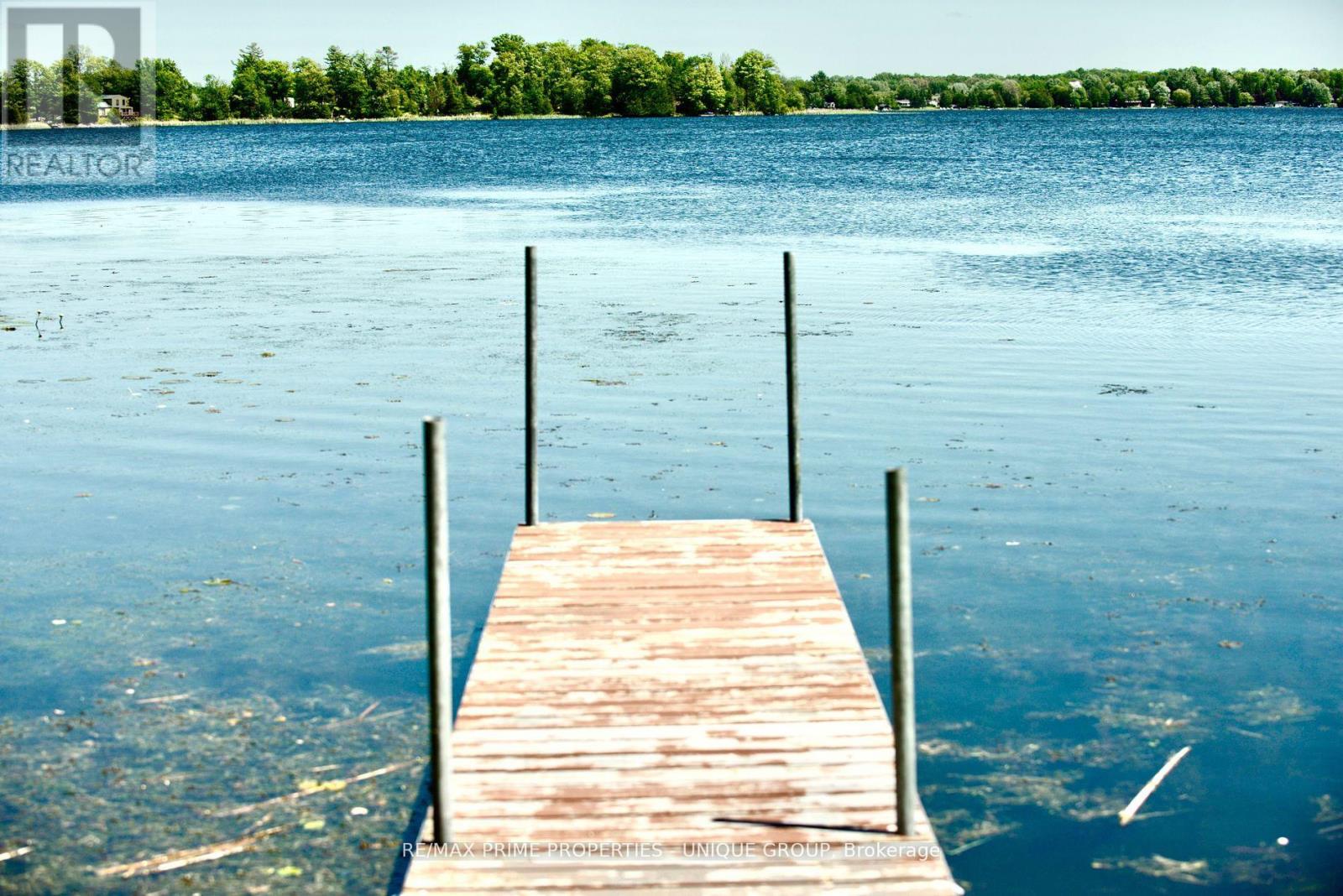 3 Lakeview Crescent, Kawartha Lakes, Ontario  K0M 1A0 - Photo 15 - X13031788