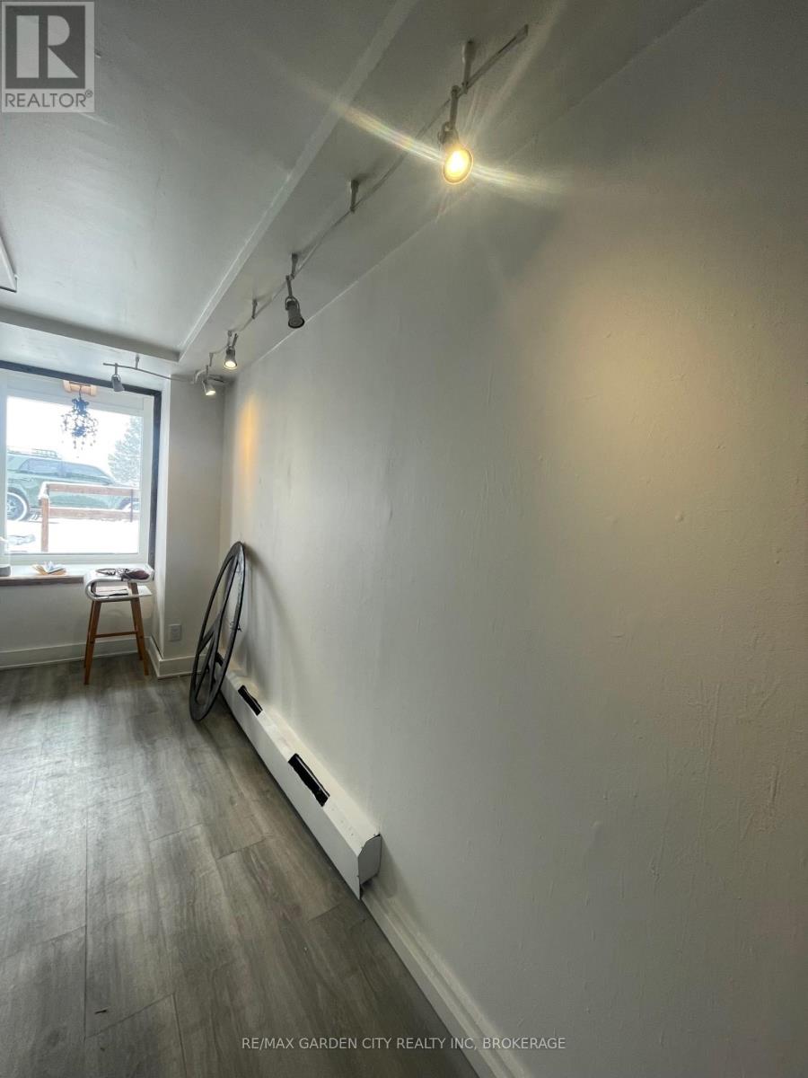 Studio - 1433 Pelham Street, Pelham, Ontario  L0S 1E0 - Photo 4 - X12659388