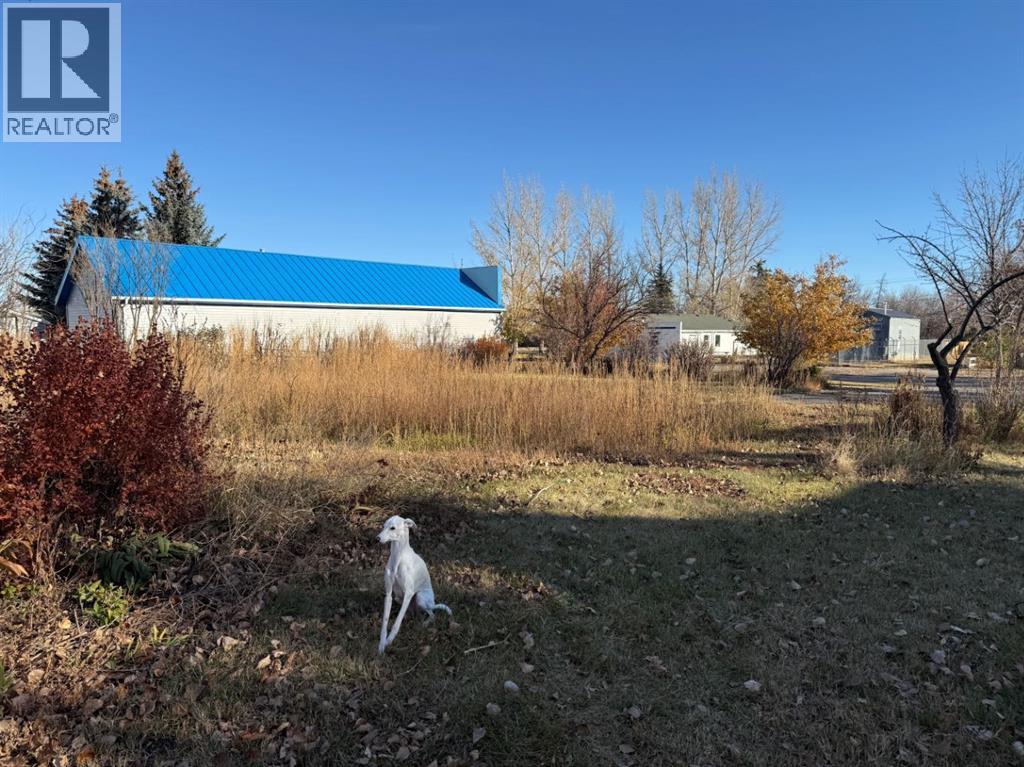 410 Grand Avenue, Carmangay, Alberta  T0L 0N0 - Photo 3 - A2272042