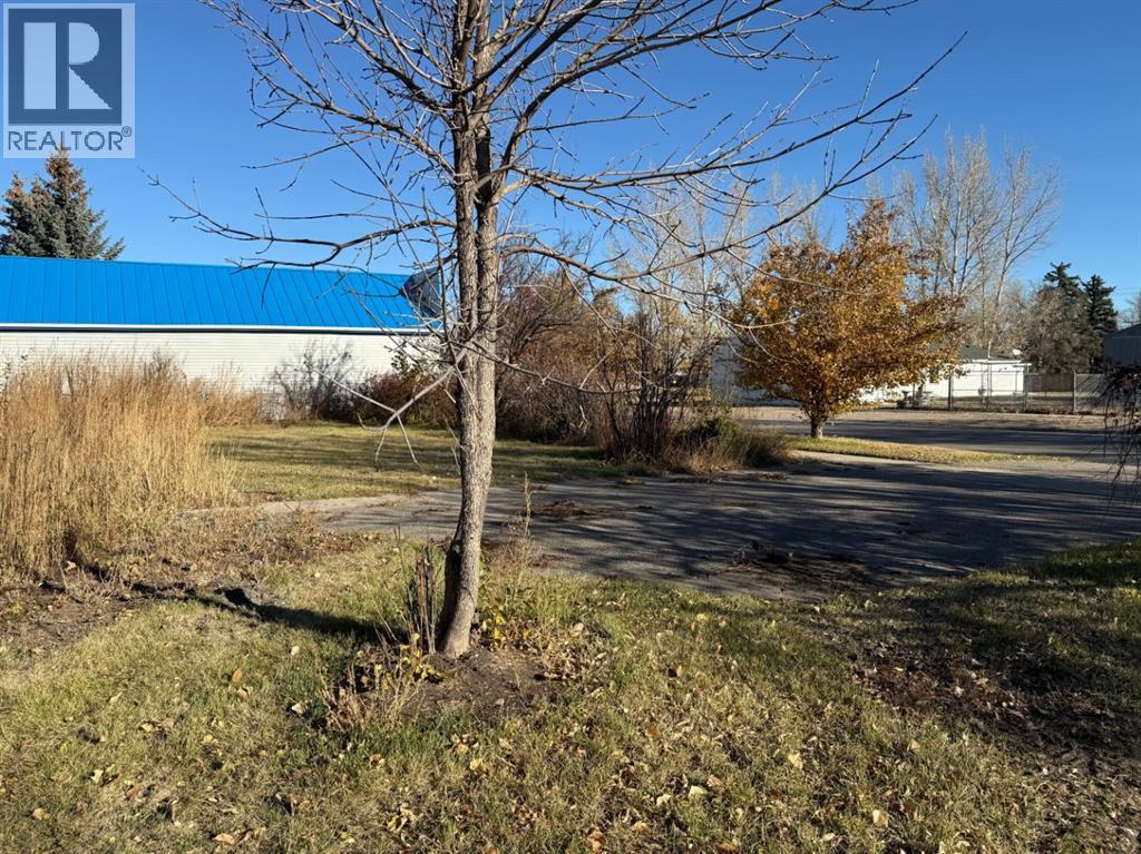 410 Grand Avenue, Carmangay, Alberta  T0L 0N0 - Photo 6 - A2272042