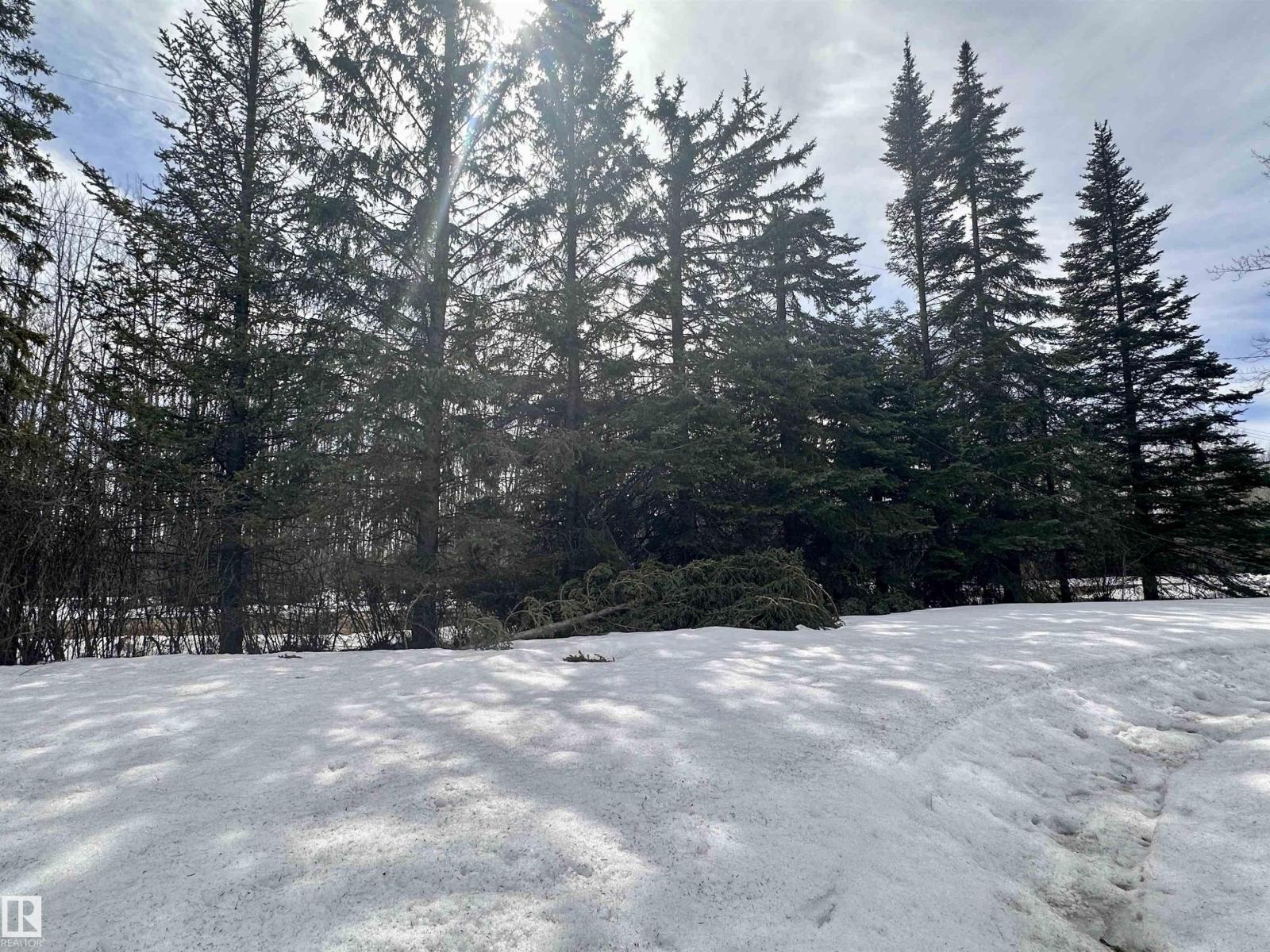 4914 51, Fawcett, Alberta  T0Y 0Y0 - Photo 55 - E4483559