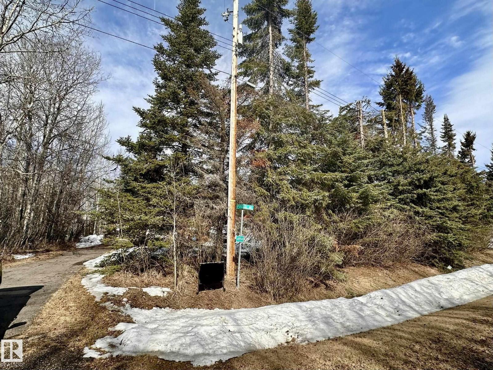 4914 51, Fawcett, Alberta  T0Y 0Y0 - Photo 56 - E4483559