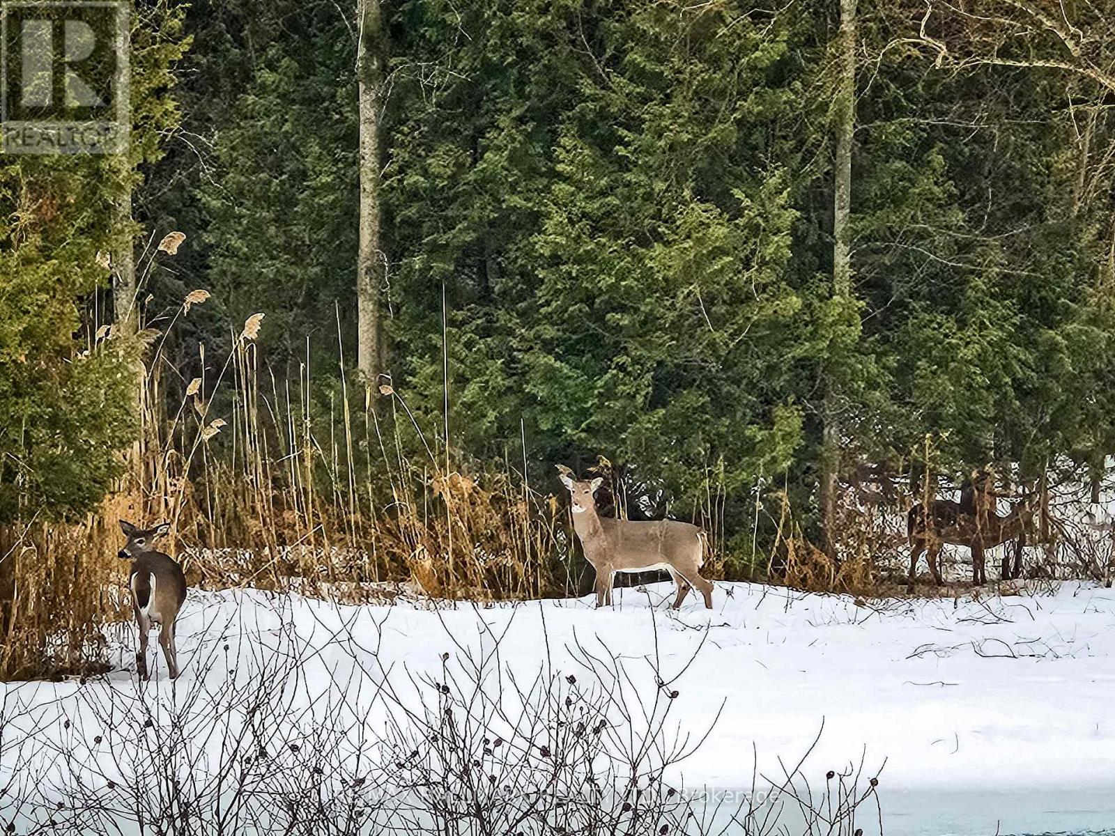 13551 Concession 5 Road, Uxbridge, Ontario  L9P 1R2 - Photo 41 - N13032074