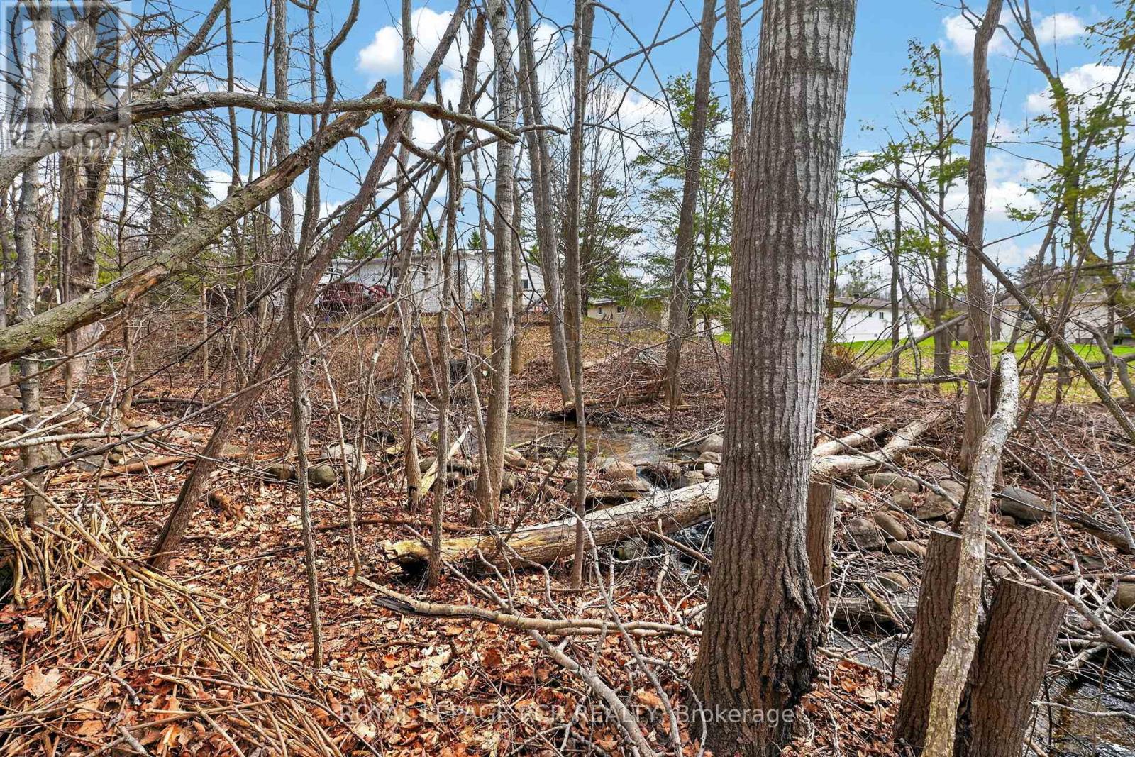 34 Jane Street, Oro-Medonte, Ontario  L3V 0P9 - Photo 33 - S13032144