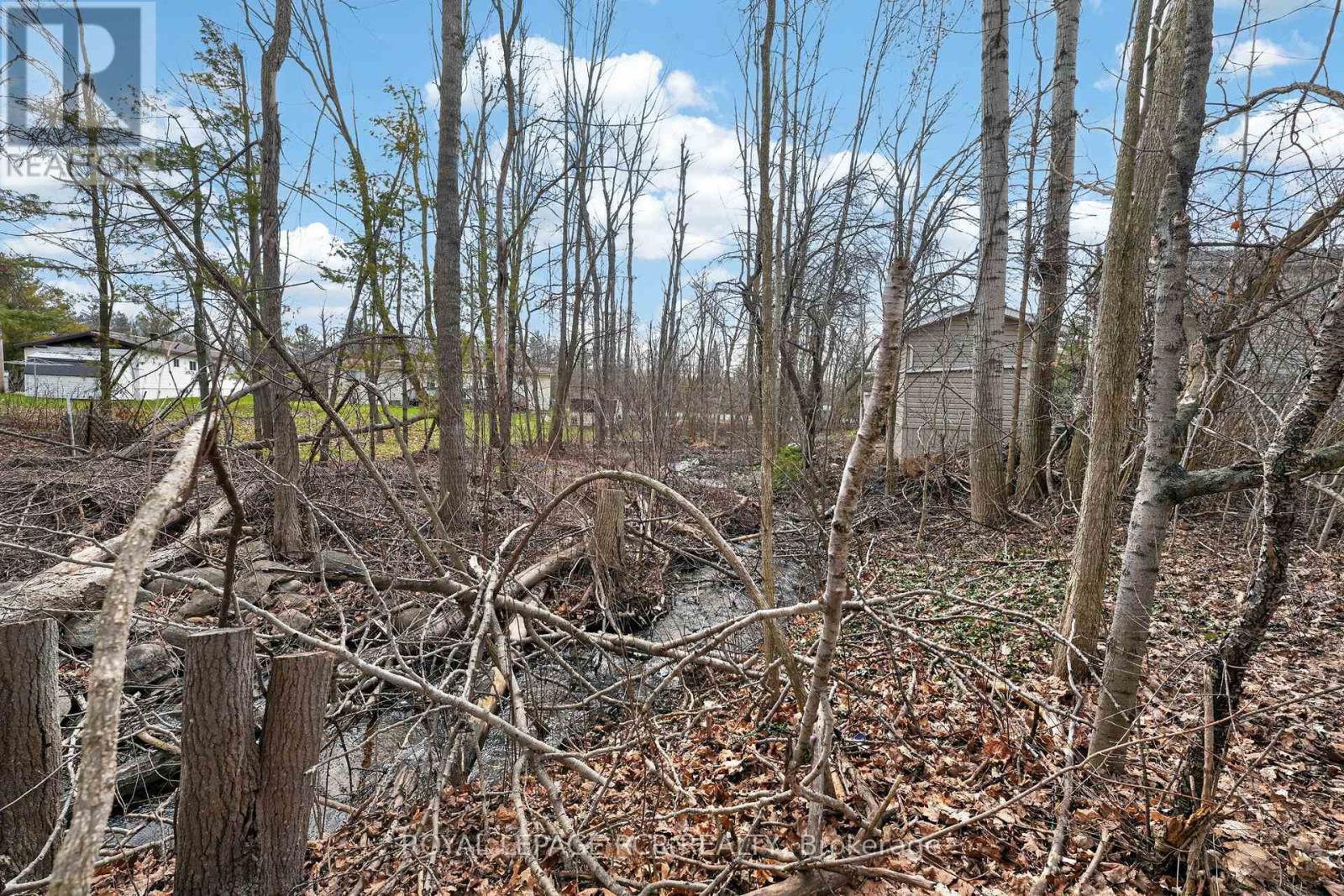 34 Jane Street, Oro-Medonte, Ontario  L3V 0P9 - Photo 34 - S13032144