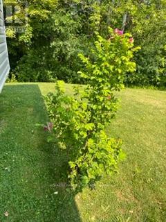 34 Jane Street, Oro-Medonte, Ontario  L3V 0P9 - Photo 36 - S13032144