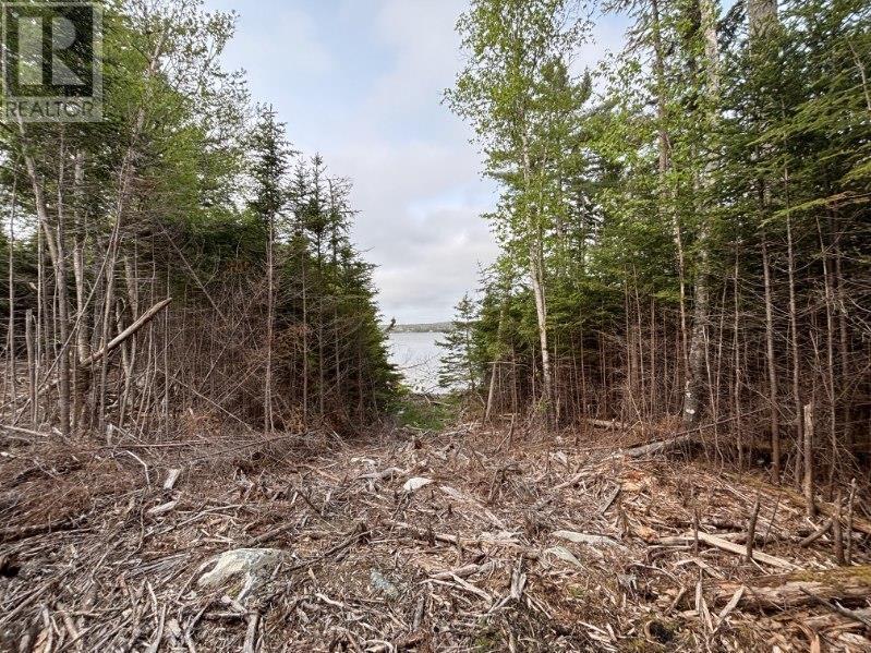 Lot 3 West Petpeswick Road, Petpeswick, Nova Scotia  B0J 2L0 - Photo 5 - 202600988