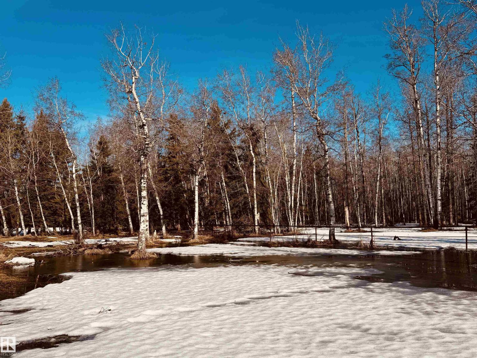 622036 Rge Rd 63, Rural Woodlands County, Alberta  T7N 1C6 - Photo 28 - E4483402