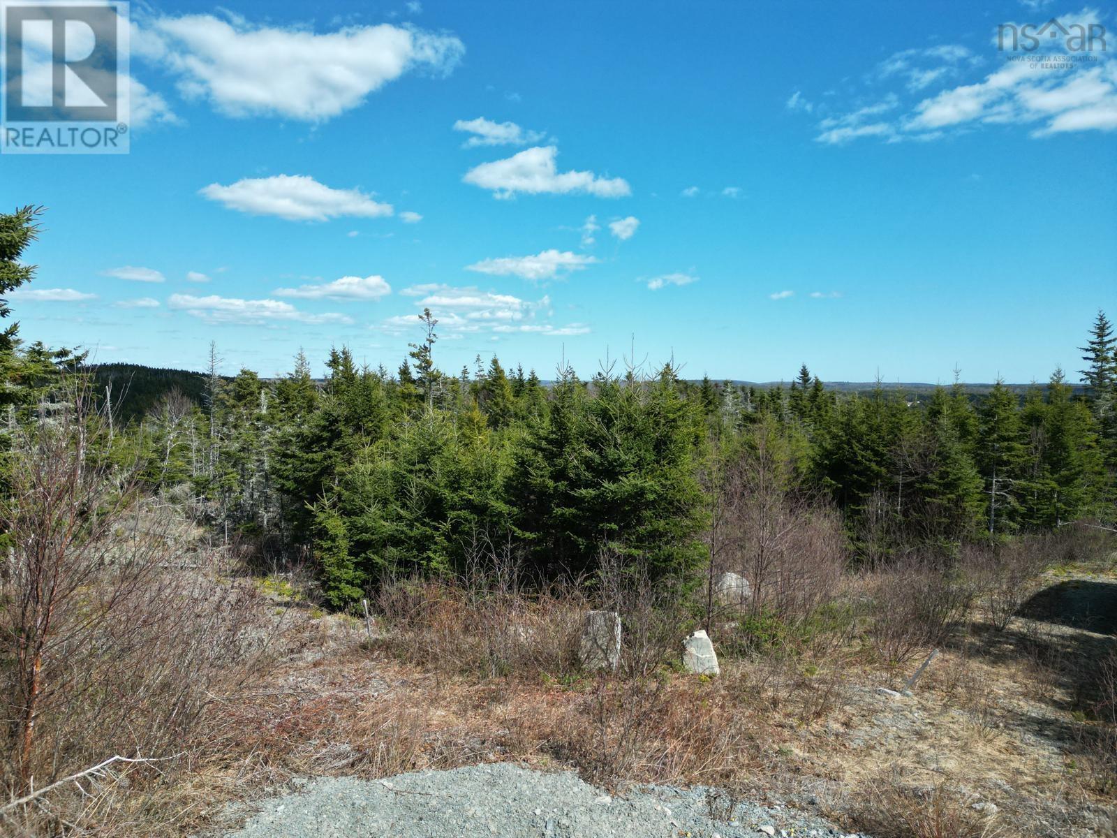 Lot-1a Highway 7, Salmon River Bridge, Nova Scotia  B0J 1W0 - Photo 4 - 202608276