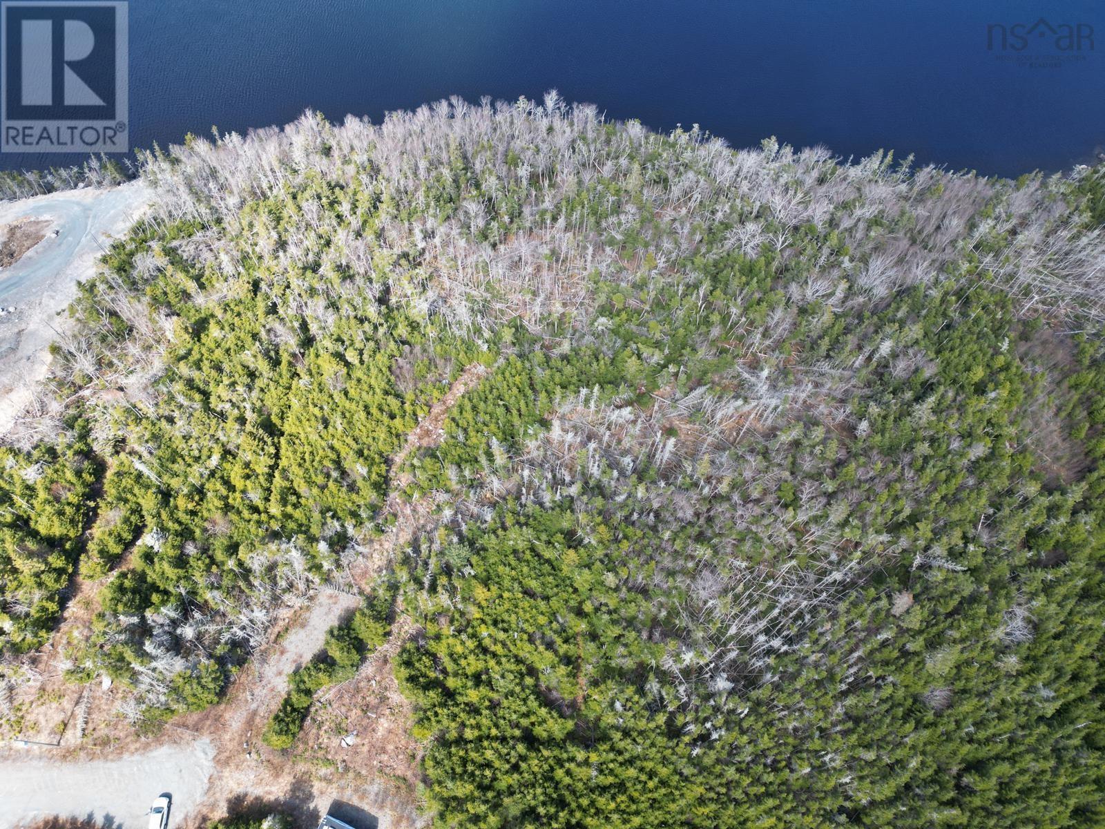 Lot-1a Highway 7, Salmon River Bridge, Nova Scotia  B0J 1W0 - Photo 14 - 202608276