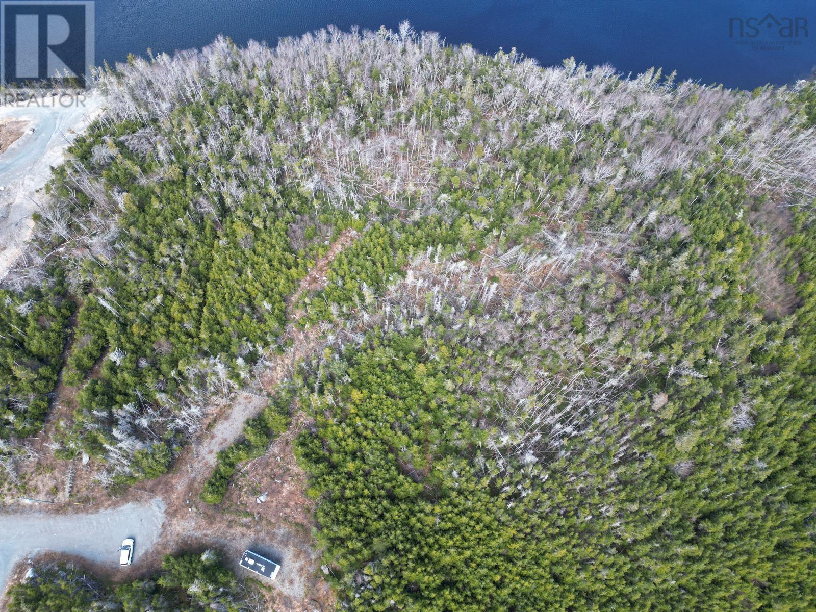 Lot-1a Highway 7, Salmon River Bridge, Nova Scotia  B0J 1W0 - Photo 13 - 202608276