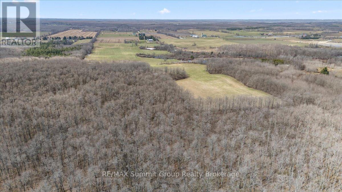 595181 4th Line, Blue Mountains, Ontario  N0H 2E0 - Photo 31 - X12957636