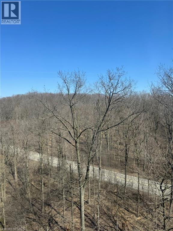 55 Green Valley Drive Unit# 1002, Kitchener, Ontario  N2P 1Z6 - Photo 24 - 40816348