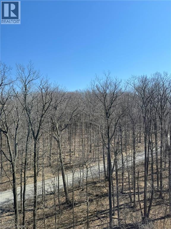 55 Green Valley Drive Unit# 1002, Kitchener, Ontario  N2P 1Z6 - Photo 22 - 40816348