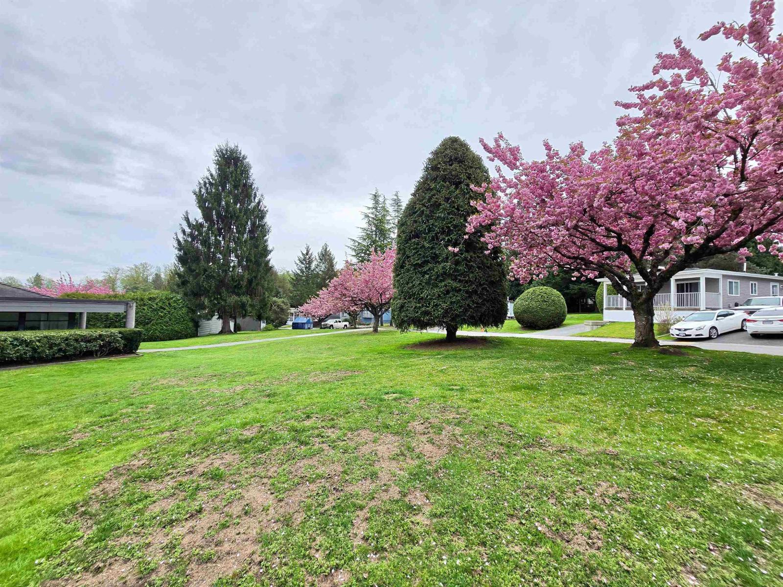 56 8220 King George Boulevard, Surrey, British Columbia  V3W 6E1 - Photo 27 - R3114667