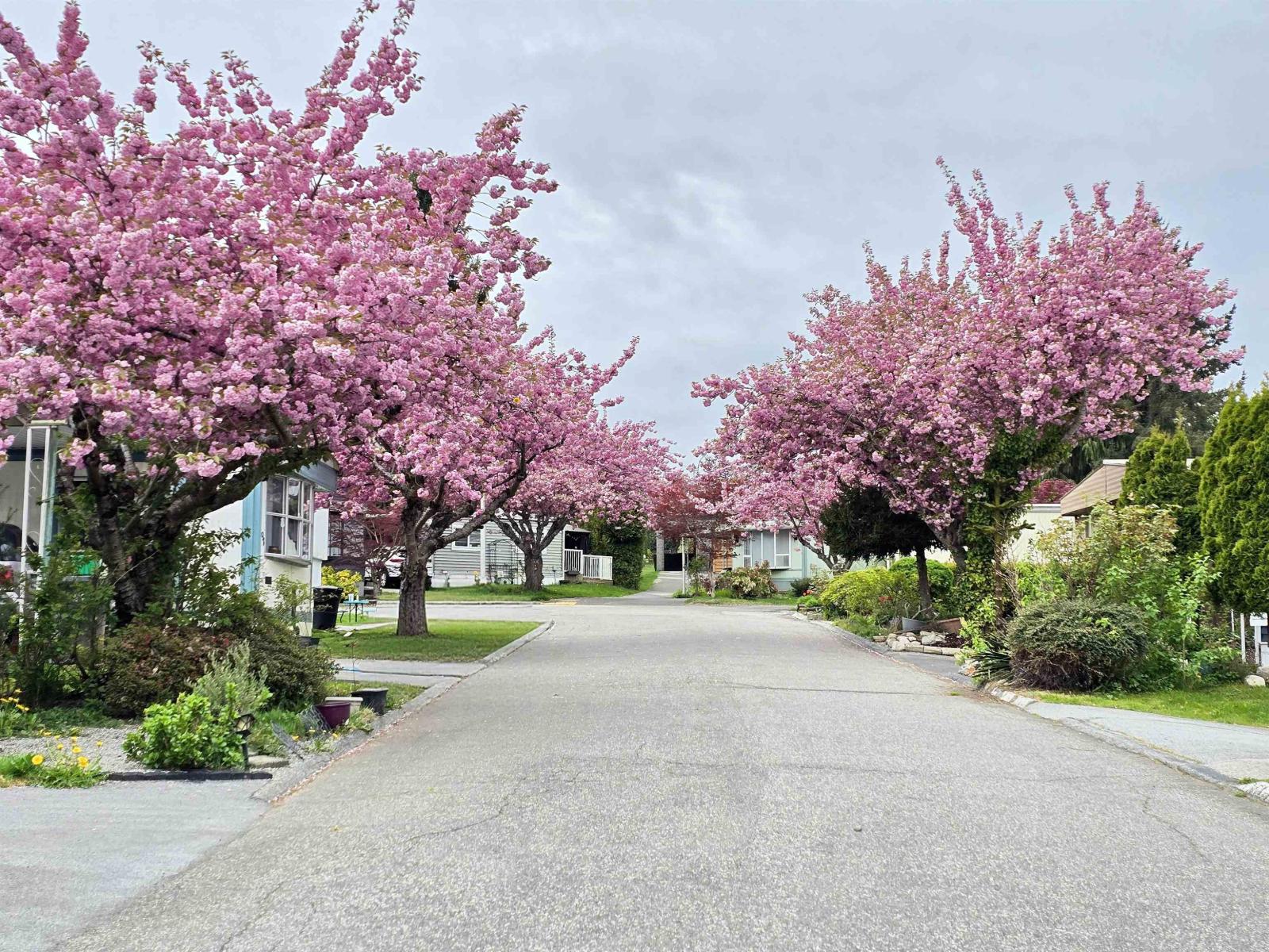 56 8220 King George Boulevard, Surrey, British Columbia  V3W 6E1 - Photo 25 - R3114667