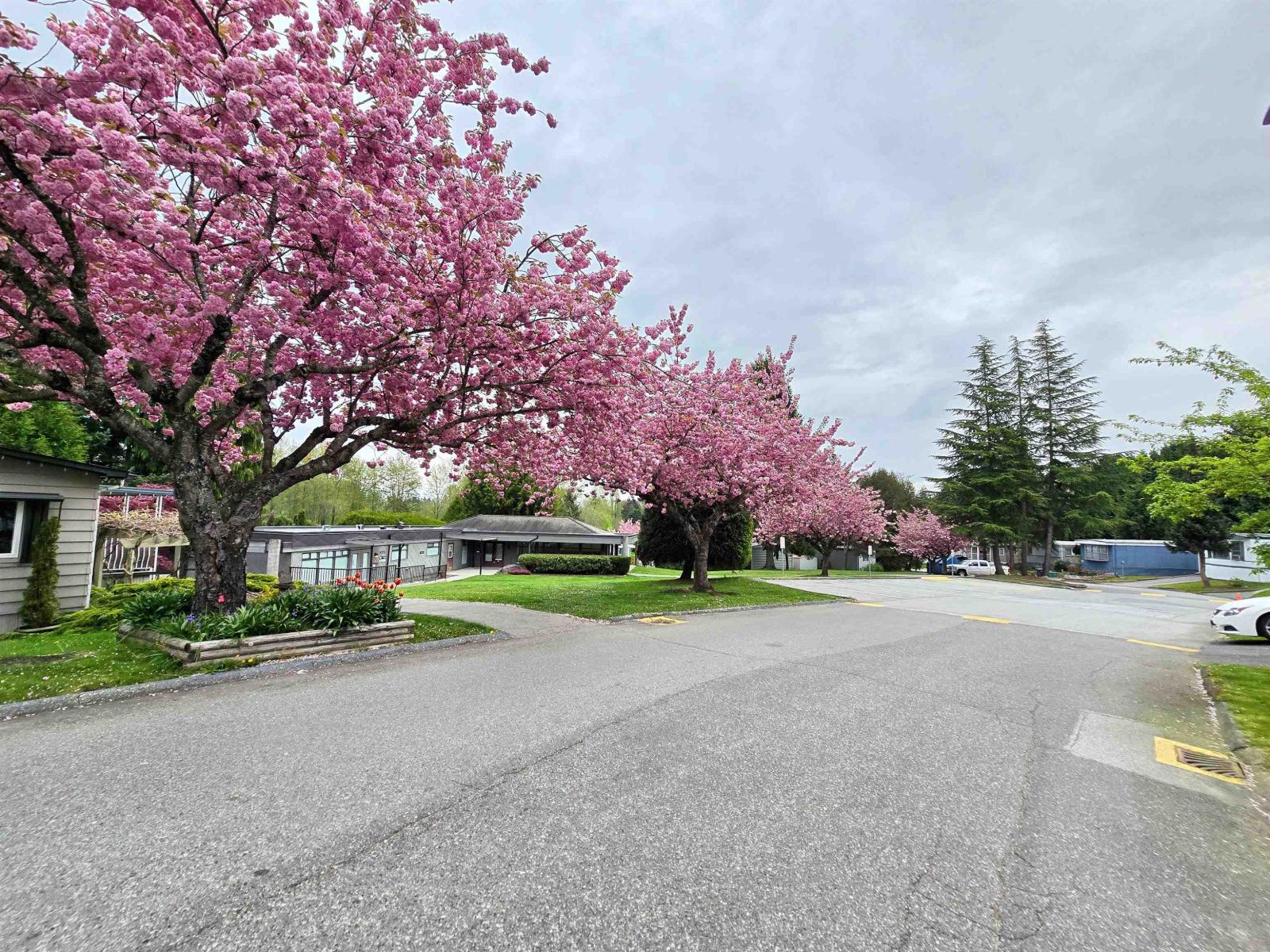 56 8220 King George Boulevard, Surrey, British Columbia  V3W 6E1 - Photo 26 - R3114667