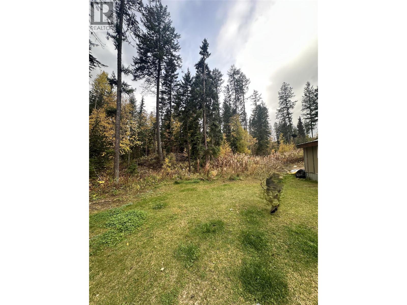 787 Golden Donald Upper Road, Golden, British Columbia  V0A 1H1 - Photo 37 - 10380251