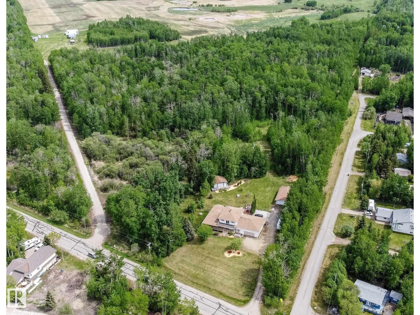 54431 Ste. Anne Tr, Rural Lac Ste. Anne County, Alberta  T0A 0A0 - Photo 46 - E4483576