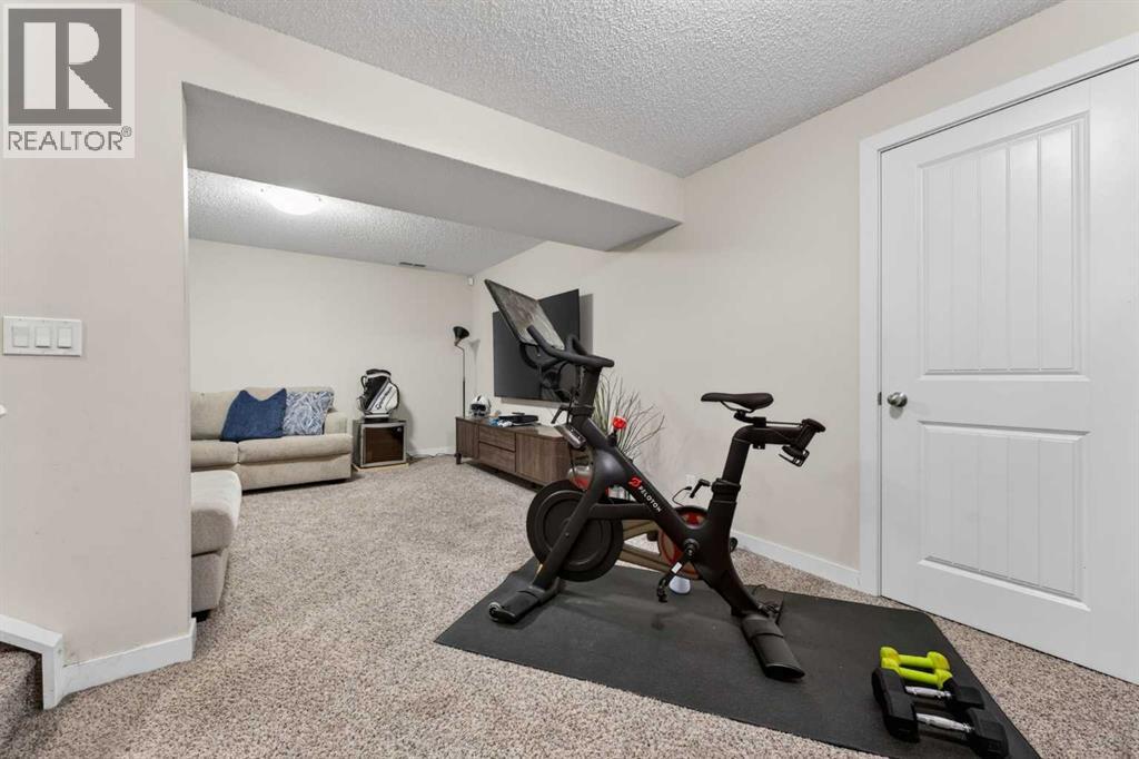 50 Silverado Plains Circle Sw, Calgary, Alberta  T2X 0G8 - Photo 28 - A2302697