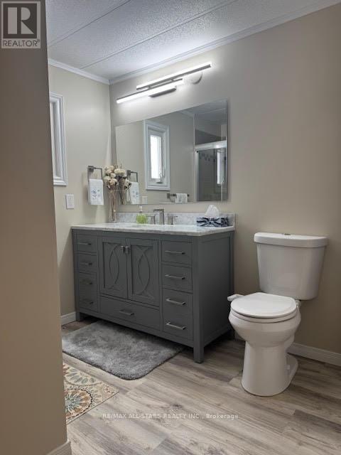 13 Fenelon Way, Kawartha Lakes, Ontario  K9V 0H9 - Photo 13 - X12842546