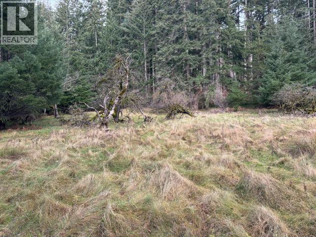 4644 Central Road, Texada Island, British Columbia  V0N 3K0 - Photo 11 - 19823