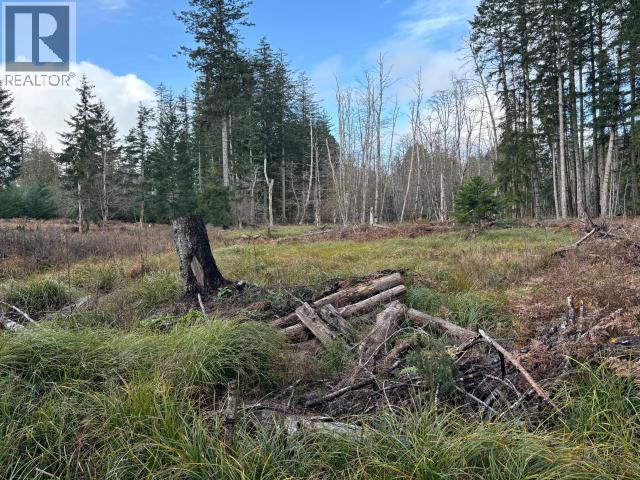 4644 Central Road, Texada Island, British Columbia  V0N 3K0 - Photo 12 - 19823