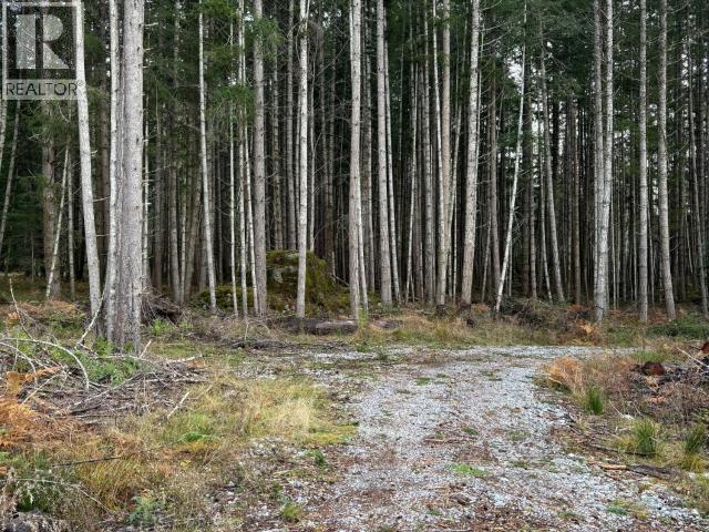 4644 Central Road, Texada Island, British Columbia  V0N 3K0 - Photo 5 - 19823