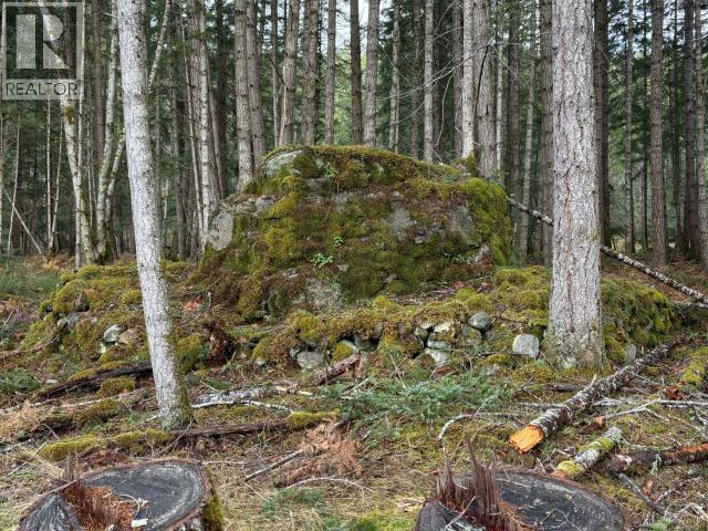4644 Central Road, Texada Island, British Columbia  V0N 3K0 - Photo 6 - 19823