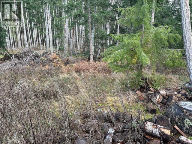 4644 Central Road, Texada Island, British Columbia  V0N 3K0 - Photo 7 - 19823