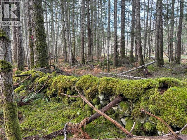 4644 Central Road, Texada Island, British Columbia  V0N 3K0 - Photo 9 - 19823