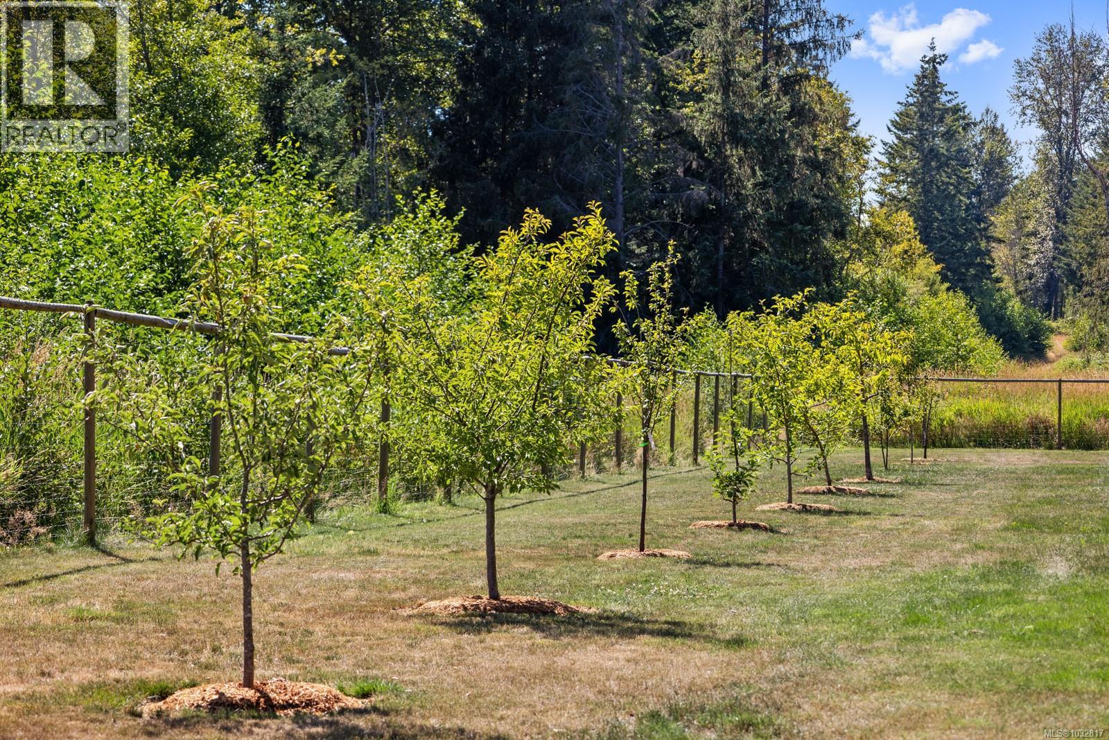 8757/8761 Oyster River Way, Black Creek, British Columbia  V9J 1K5 - Photo 47 - 1032817