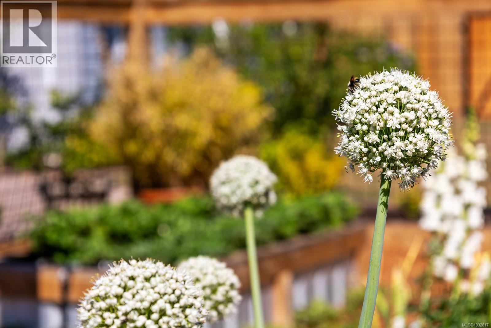 8757/8761 Oyster River Way, Black Creek, British Columbia  V9J 1K5 - Photo 69 - 1032817